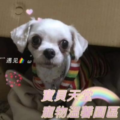 ❤️親愛的Yuki❤️